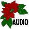 AUDIO: poinsettia blossom