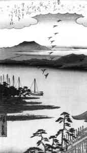 geese over Lake Biwa