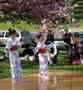 May 4, 2003, Sakura Matsuri festival in White Plains NY