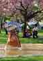 May 4, 2003, Sakura Matsuri festival in White Plains NY