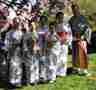 May 4, 2003,  Sakura Matsuri festival in White Plains NY