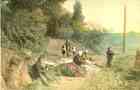 rural scene: harvesting daikon